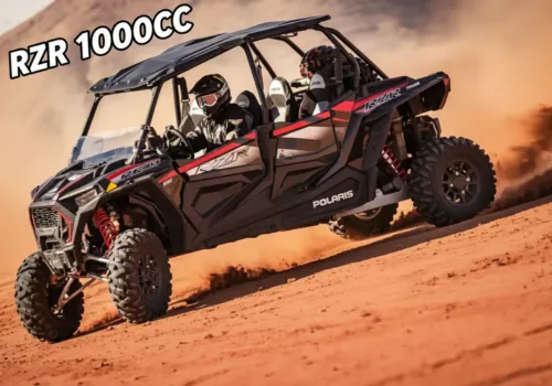 Polaris RZR Buggy Desert Experience